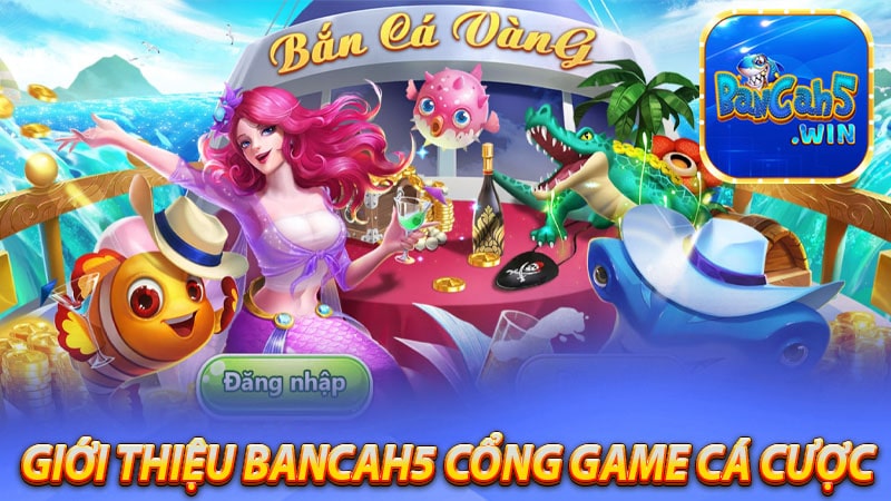 Giới thiệu Bancah5 cổng game cá cược